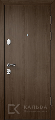 Фото «Дверь Ламинат №8»